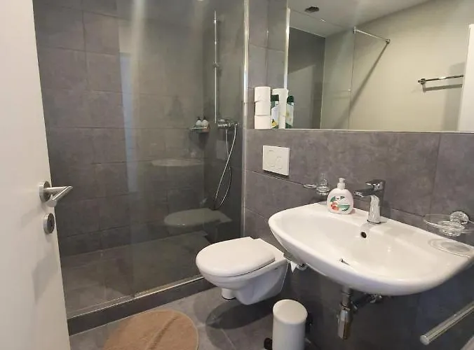 Apartament Fidanza 4 In Center Brissago