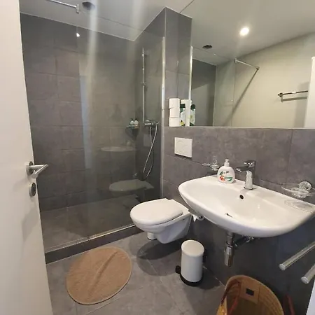 Apartment Fidanza 4 In Center Brissago TI